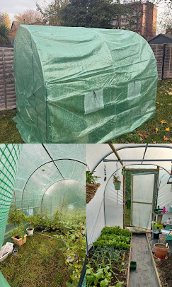 Exterior property maintenance by Noble Stag Cleaning and Handyman Services